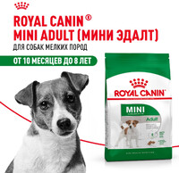 Роял канин сухой корм MINI ADULT,800 гр  для собак мелких пород (3124)