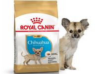 Роял канин сухой корм CHIHUAHUA  PUPPY 1.5g для щенков породы чихуахуа (2544)